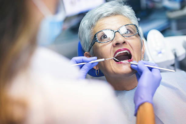 Sisco Heights, WA  Holistic Dental Services Company